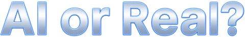 AI or Real?