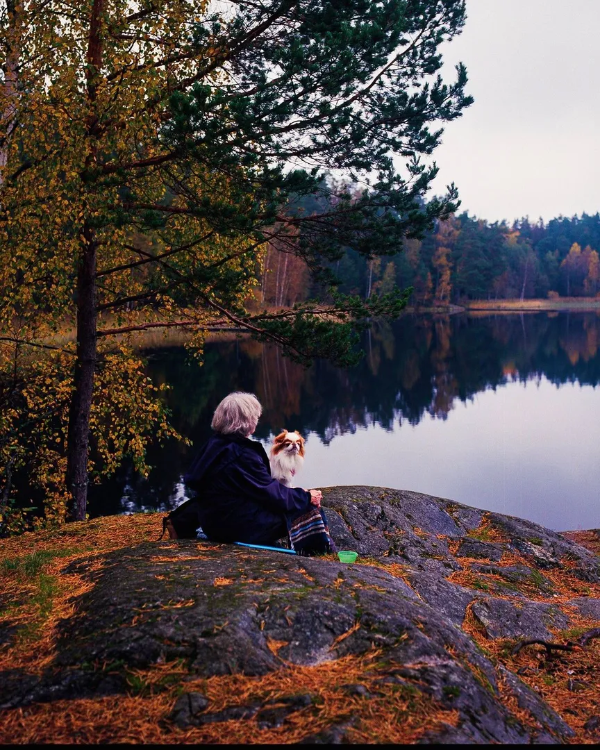 An elderly woman and a small dog sit on a rocky lakeside in autumn.